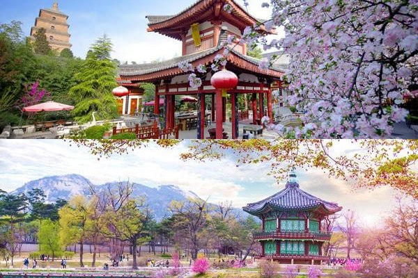 تور چین کره